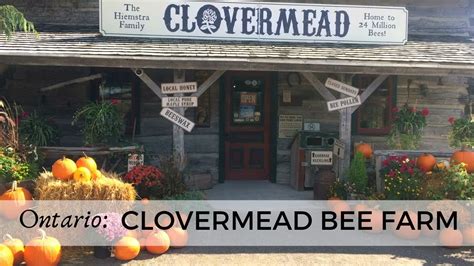 clovermead aylmer.